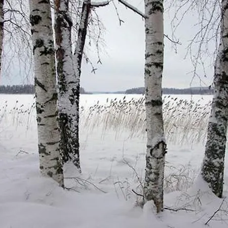 Kopinkallio 3 By Interhome *